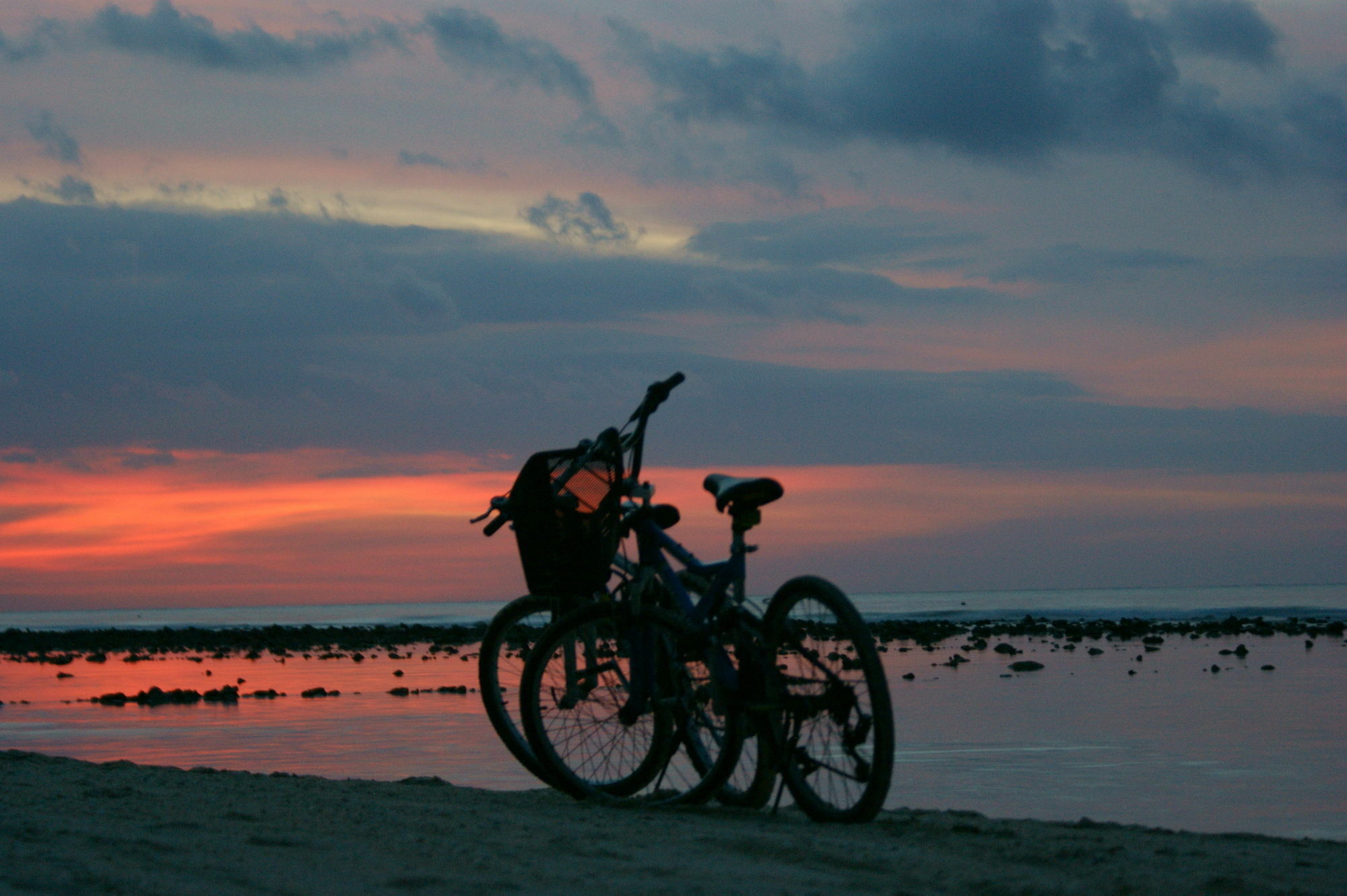 Coconut Garden Resort Gili Trawangan Eksteriør billede